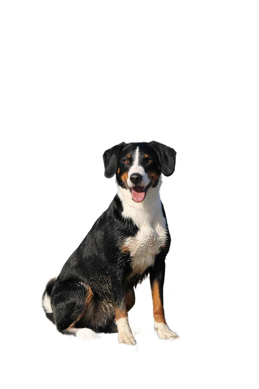 Example processed image